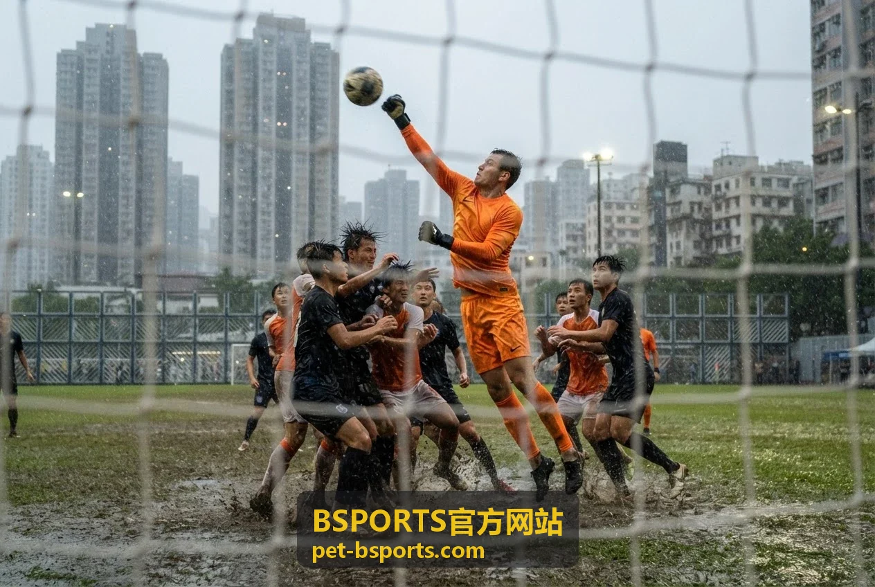 BSPORTS官方网站解决方案概览